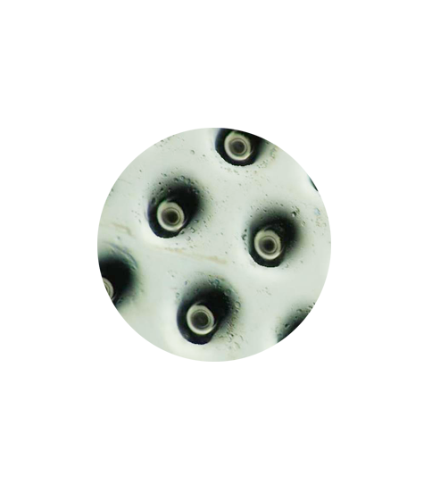 f9a30617345e43a1e4a2f3e4aa10b75b.png